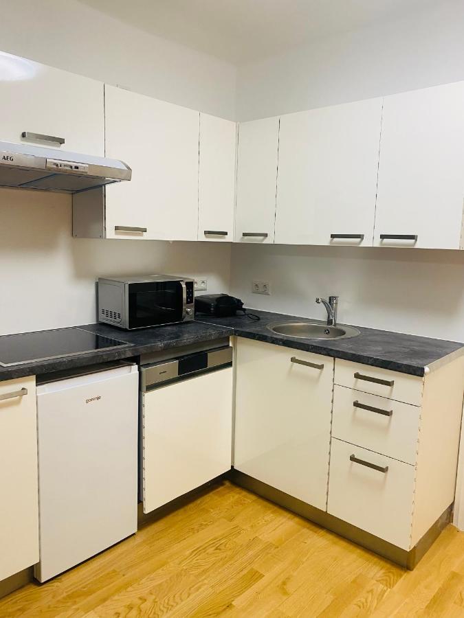וינה Niceapartment Beethovens מראה חיצוני תמונה