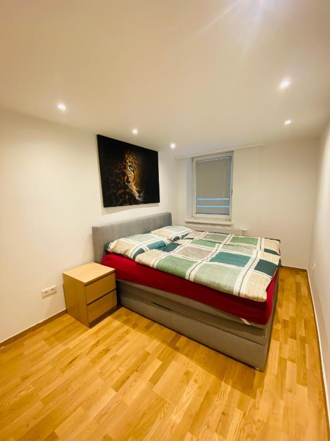 וינה Niceapartment Beethovens מראה חיצוני תמונה