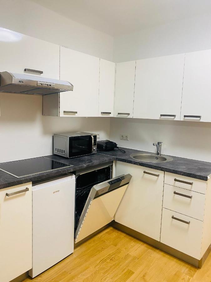 וינה Niceapartment Beethovens מראה חיצוני תמונה